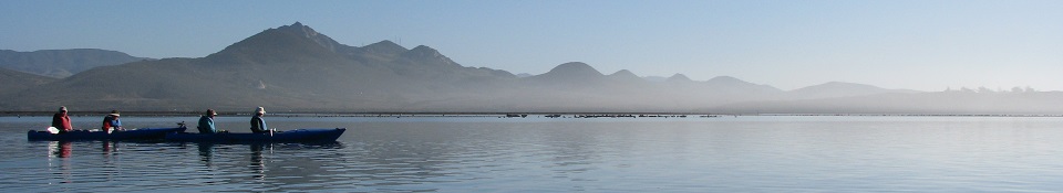 Morro Bay Half Day Classic Kayak Tour w/Lunch - Private