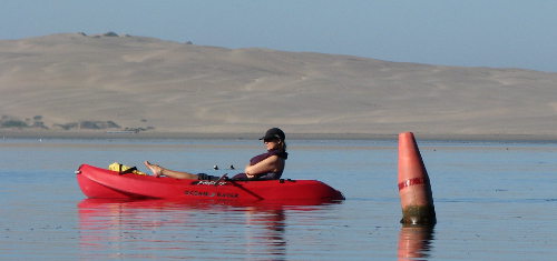 Morro Bay Kayaking