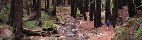 Central Coast
Outdoors Big Sur Hiking Trips