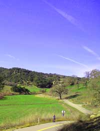 Central Coast Outdoors Wine Bike Trip