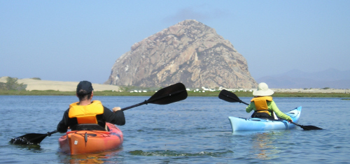 Morro Bay California Guided Kayak Tours