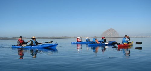 Morro Bay weekend: A kayaking getaway